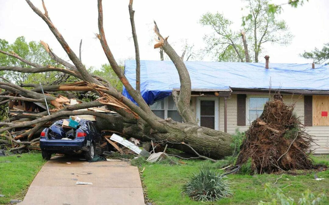 5 Steps to Take after a Storm Damages Your Roof in the Twin Cities